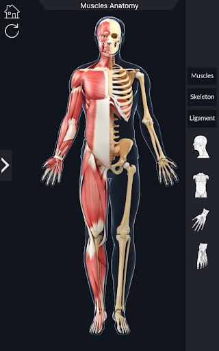 My Muscle Anatomy - عکس برنامه موبایلی اندروید