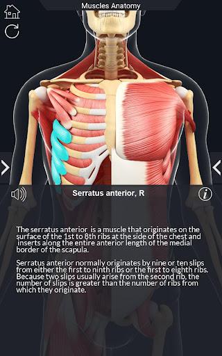 My Muscle Anatomy - عکس برنامه موبایلی اندروید