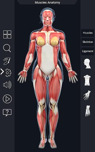 My Muscle Anatomy - عکس برنامه موبایلی اندروید