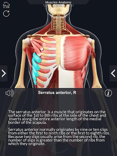 My Muscle Anatomy - عکس برنامه موبایلی اندروید