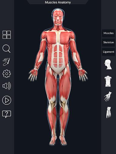 My Muscle Anatomy - عکس برنامه موبایلی اندروید