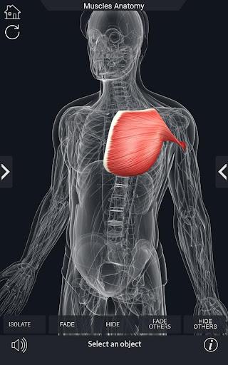 My Muscle Anatomy - عکس برنامه موبایلی اندروید