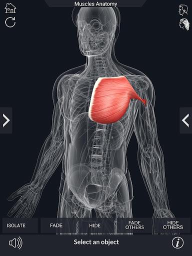 My Muscle Anatomy - عکس برنامه موبایلی اندروید
