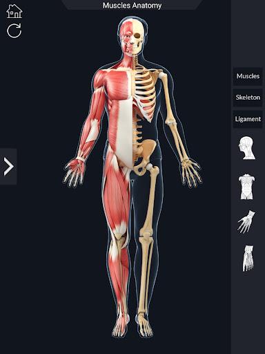 My Muscle Anatomy - عکس برنامه موبایلی اندروید