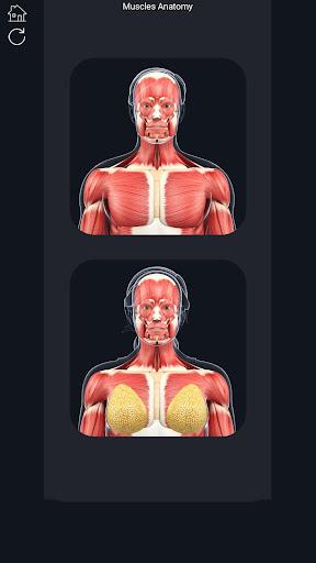 Muscle Anatomy Pro. - Image screenshot of android app