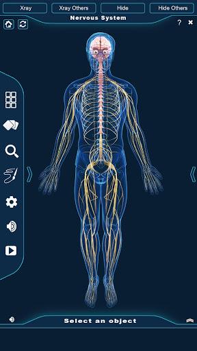 Nervous System Anatomy Pro. - Image screenshot of android app