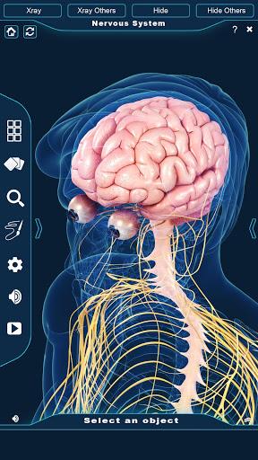 Nervous System Anatomy Pro. - Image screenshot of android app