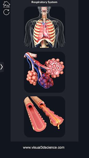 Respiratory System Anatomy Pro. - Image screenshot of android app