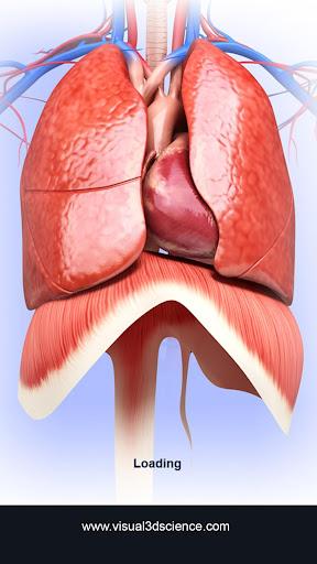 Respiratory System Anatomy Pro. - عکس برنامه موبایلی اندروید
