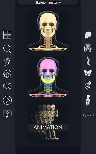 My Skeleton Anatomy - عکس برنامه موبایلی اندروید