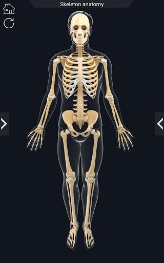 My Skeleton Anatomy - عکس برنامه موبایلی اندروید