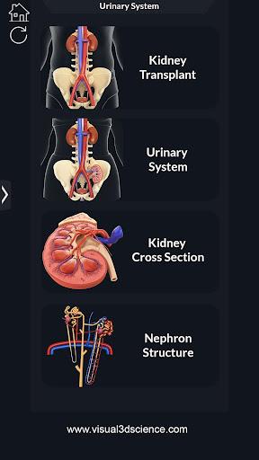 Urinary System Pro. - Image screenshot of android app