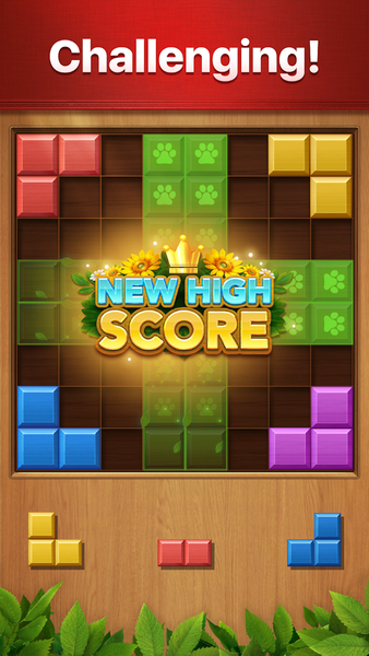 Vita Block for Seniors - Gameplay image of android game