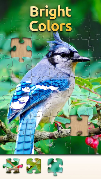 Vita Jigsaw for Seniors - Image screenshot of android app