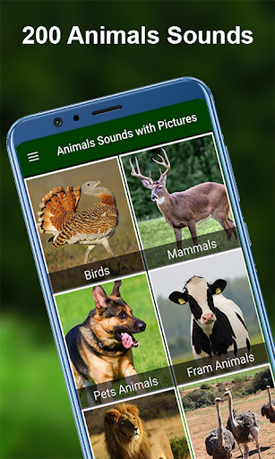 170 Animal Sounds - Image screenshot of android app