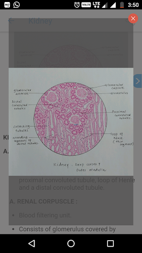 HistoGrams⁺ - Image screenshot of android app