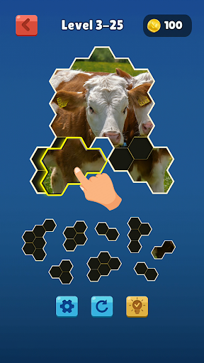 Hexa Jigsaw Collection HD - عکس بازی موبایلی اندروید