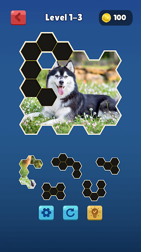 Hexa Jigsaw Collection HD - Gameplay image of android game