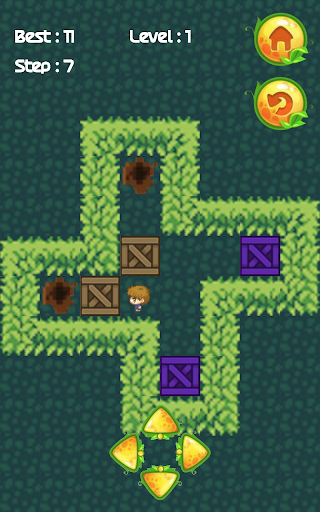 Wood Block : Push Block Puzzle - Gameplay image of android game