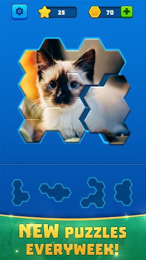 Hex Block Jigsaw - عکس بازی موبایلی اندروید