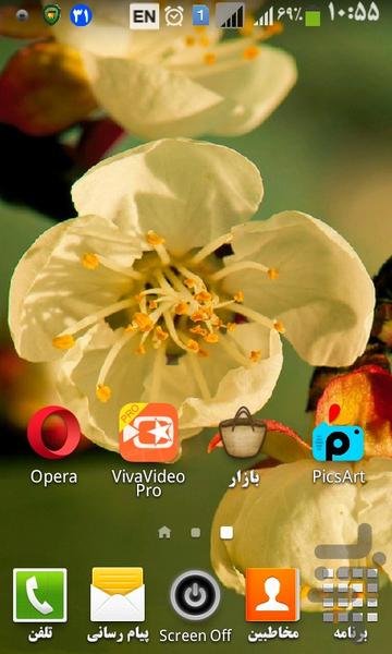 تصویر زمینه غنچه - Image screenshot of android app