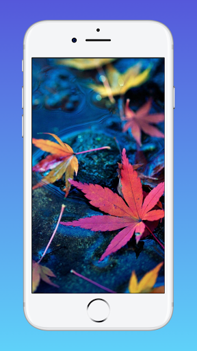 Pixel 4D 2021 - Image screenshot of android app