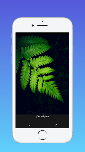 Pixel 4D 2021 - Image screenshot of android app