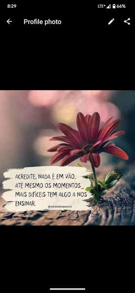 Wa HD Profile Pictures - Image screenshot of android app