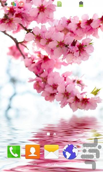 تصویر زمینه شکوفه - Image screenshot of android app