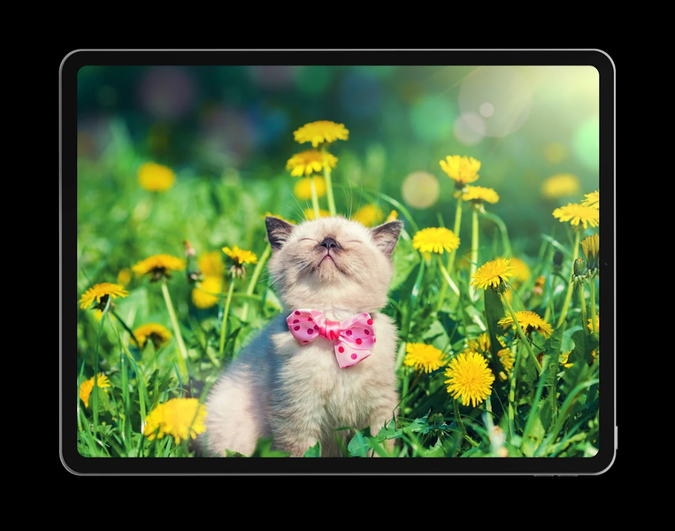 ۴K Wallpaper ۲۰۲۶ Backgrounds - عکس برنامه موبایلی اندروید