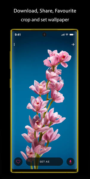 ۴K Wallpaper ۲۰۲۶ Backgrounds - عکس برنامه موبایلی اندروید