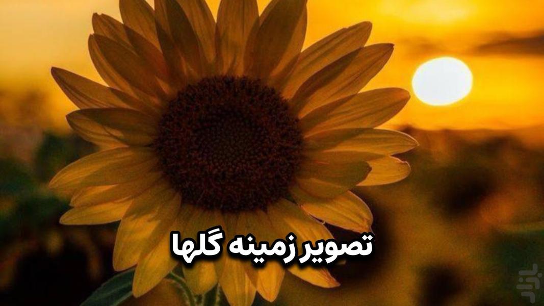 تصویر زمینه: گل‌ها (والپیپر) - عکس برنامه موبایلی اندروید