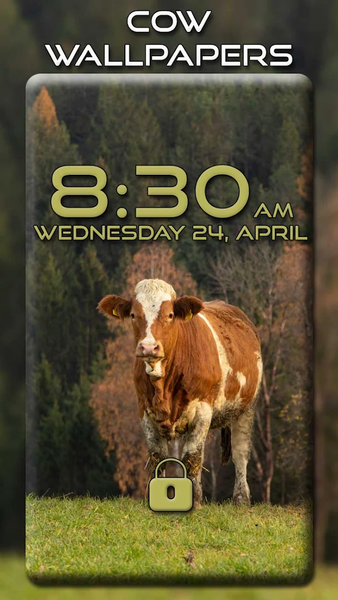 Cow Wallpapers - Image screenshot of android app