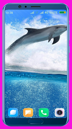 Dolphin HD Wallpaper - Image screenshot of android app