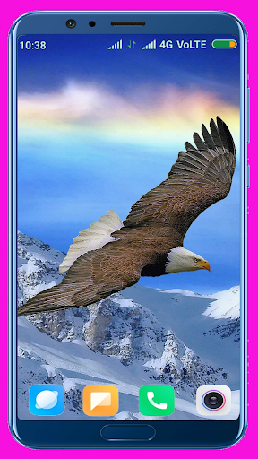 Eagle HD Wallpaper - Image screenshot of android app