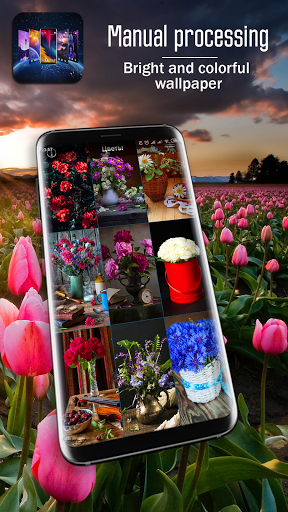 Wallpapers Plus - عکس برنامه موبایلی اندروید