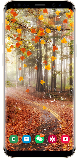 Maple Droplets Live Wallpaper - عکس برنامه موبایلی اندروید