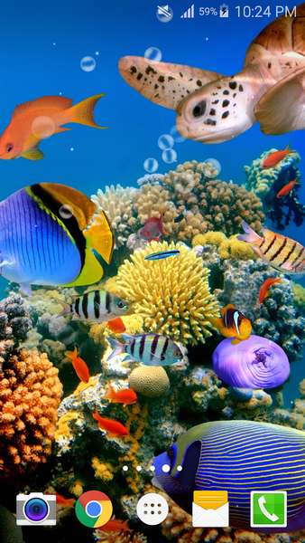 Ocean Fish Live Wallpaper - Image screenshot of android app