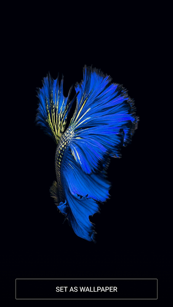 Wallpapers iOS Full HD - عکس برنامه موبایلی اندروید