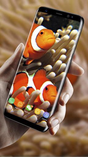 3D Clownfish Live Wallpaper - عکس برنامه موبایلی اندروید