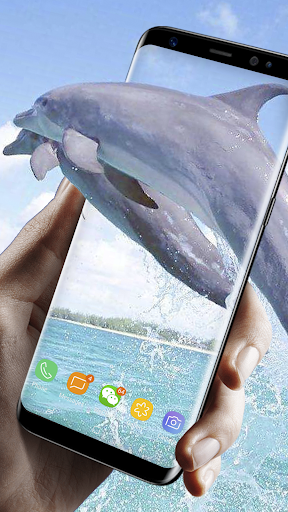 Lovely Dolphin Live Wallpaper - عکس برنامه موبایلی اندروید