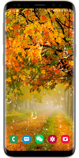 Autumn Maple Leaf Droplets Live Wallpaper - عکس برنامه موبایلی اندروید