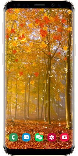 Autumn Maple Leaf Droplets Live Wallpaper - عکس برنامه موبایلی اندروید