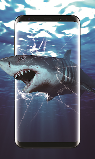 3D Shark in the Live Wallpaper - Image screenshot of android app