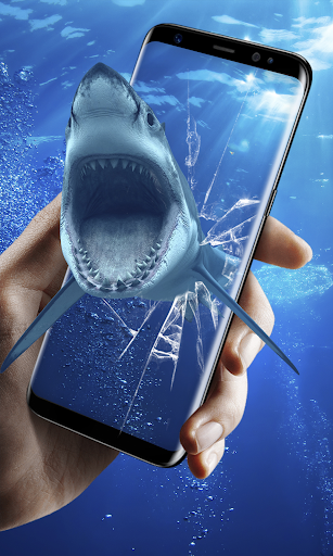 shark wallpaper hd 3d