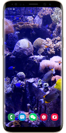 Real Aquarium Live Wallpaper - عکس برنامه موبایلی اندروید