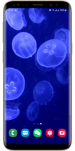 Real Aquarium Live Wallpaper - Image screenshot of android app