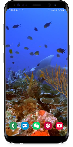 Real Aquarium Live Wallpaper - Image screenshot of android app