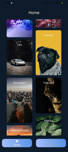 Vivid Wallpaper:VibeWall - عکس برنامه موبایلی اندروید