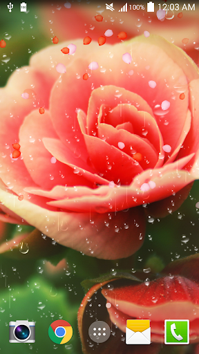 Rose Droplets Live Wallpaper - Image screenshot of android app